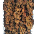 Nho Khô Nguyên Cành Úc