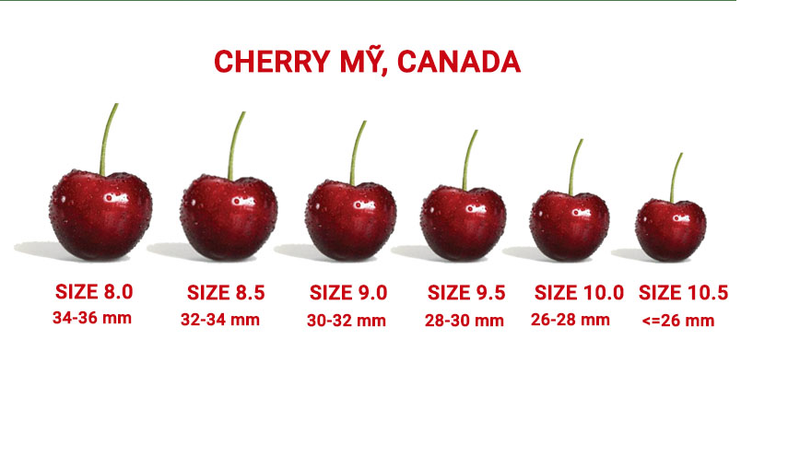 Cherry Đỏ Mỹ Size 9.5