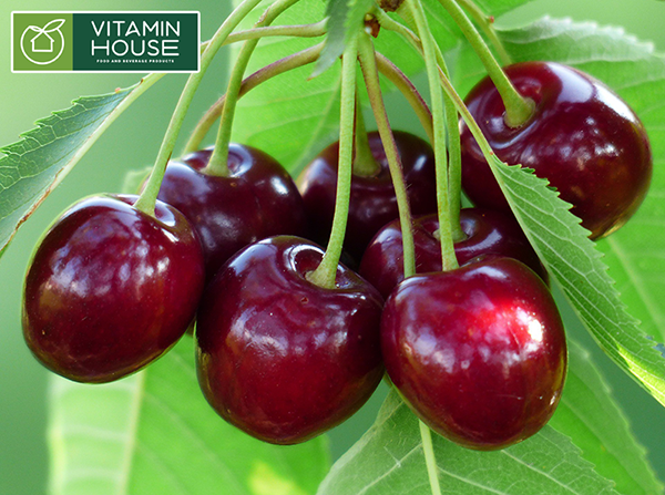 Cherry nhập khẩu - không chỉ ngon mà còn siêu tốt cho giấc ngủ