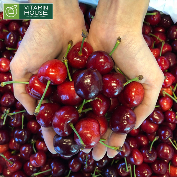 Giới thiệu các loại Cherry nhập khẩu đến từ Mỹ loại cao cấp giàu chất dinh dưỡng và chắc giòn