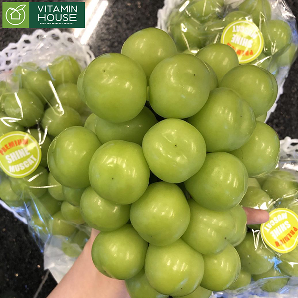 Nho mẫu đơn và Cửa hàng bán nho mẫu đơn chất lượng giá tốt nhất hiện nay tại Việt Nam