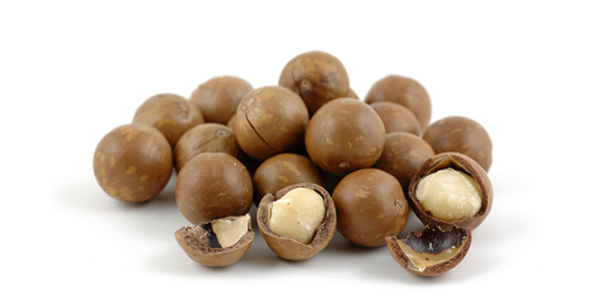 Những Công Dụng Tuyệt Vời Từ Hạt Mắc Ca Và Óc Chó