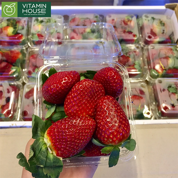 Những ưu điểm nổi bật của trái cây nhập khẩu khiến bạn phải chọn mua ngay