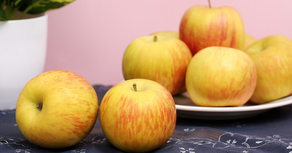 Táo túi Nam Phi có thực sự an toàn cho sức khỏe không?