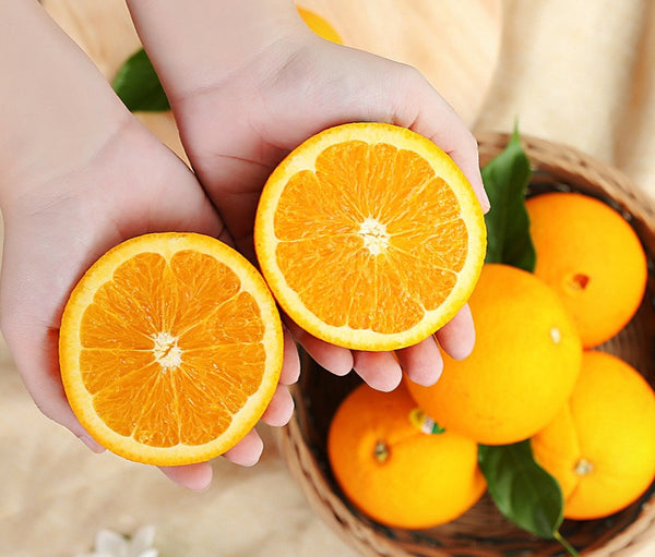 Giải mã sức hút của cam Ai Cập khiến các bà nội trợ mê đắm