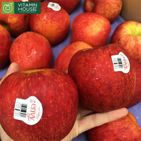 Vì sao bạn nên thử ăn ngay táo Envy nhập khẩu ngay dù chỉ 1 lần liền?