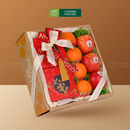 Hộp Quà Bánh Trung Thu Trái Cây Tinh Tế Fusion Moon 8