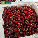Hộp Quà Trái Cây Cherry Nhập Khẩu Tặng Bác Sĩ