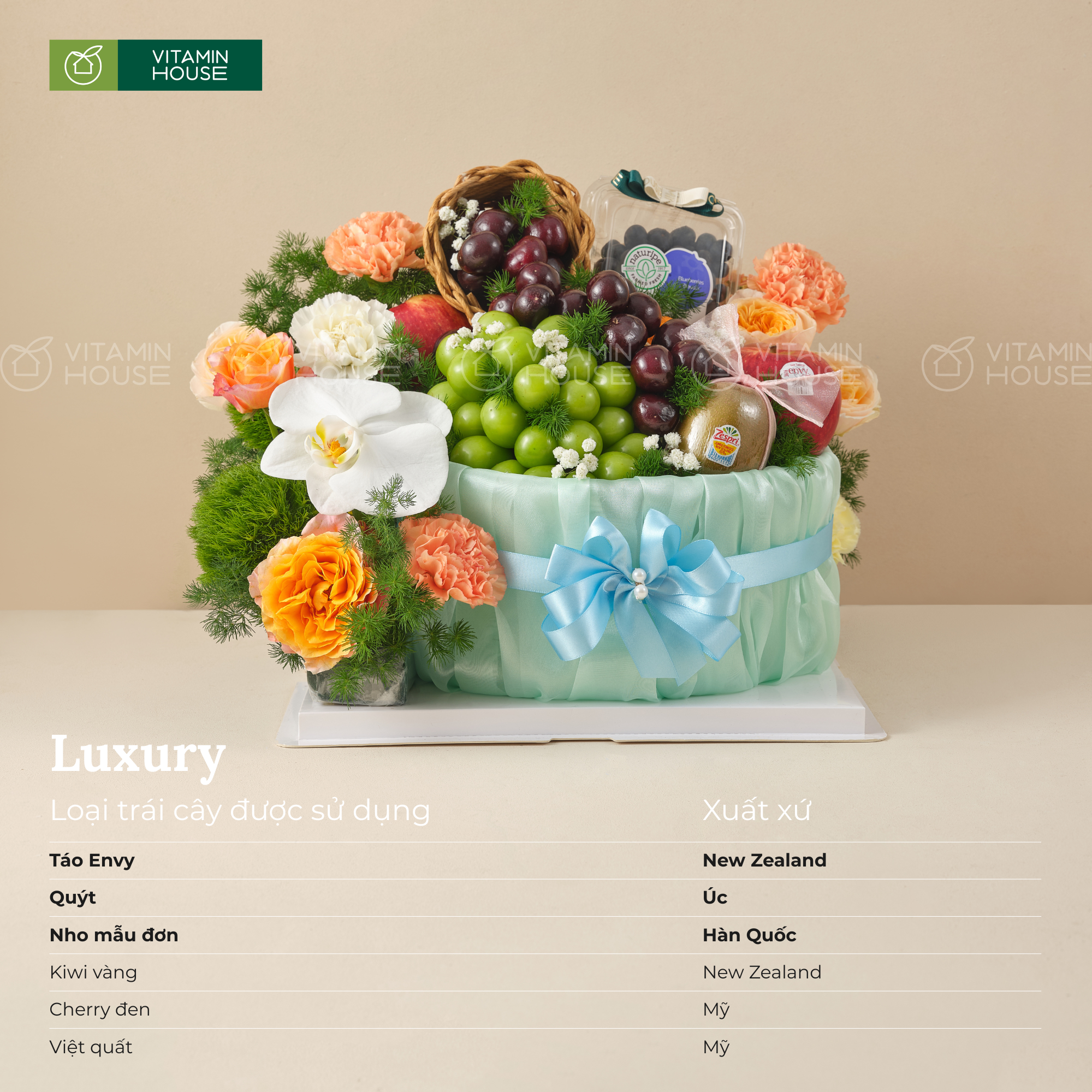 Giỏ Trái Cây Nho, Cherry – Quà Tặng Sinh Nhật, Chúc Mừng Ý Nghĩa