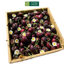 Hộp Quà Trái Cây Cherry Nhập Khẩu Tặng Bác Sĩ
