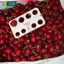 Hộp Quà Trái Cây Cherry Nhập Khẩu Tặng Bác Sĩ