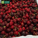 Hộp Quà Trái Cây Cherry Nhập Khẩu Tặng Bác Sĩ