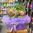 Giỏ Trái Cây Nho Xanh, Lê Hàn Lời Chúc Sức Khỏe, Mau Lành Bệnh