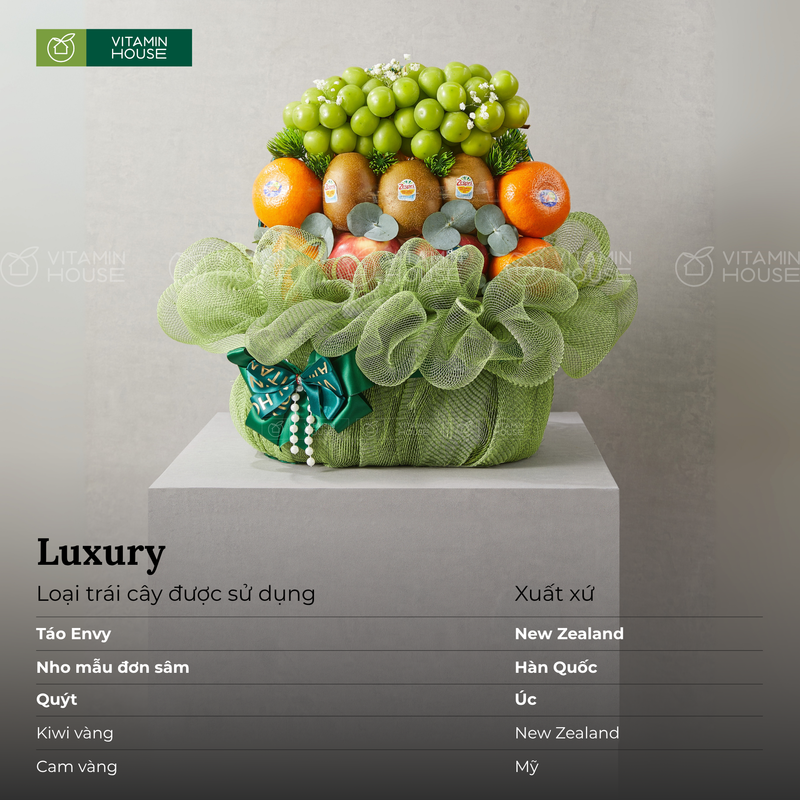 Giỏ Quà Trái Cây Tầng Xanh Tươi: Nho, Kiwi, Táo, Quýt, Nhập Khẩu & Hoa Tươi Đi Thăm Người Bệnh