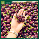 [Trái cây nhập khẩu] Cherry Đỏ Mỹ Nhiều Size (Kg)