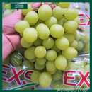[Trái cây nhập khẩu] Nho Xanh Chile