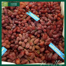 [Trái cây nhập khẩu] Nho Đỏ Không Hạt Úc (Kg)