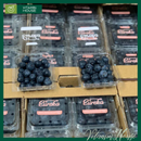 [Trái cây nhập khẩu] Việt Quất Tươi Eureka 125g