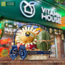 giỏ trái cây nhập khẩu của Vitamin House Envy, lê Hàn Quốc, kiwi vàng, cam vàng Úc, dưa hấu táo Farm