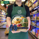 giỏ trái cây nhập khẩu Envy, lê Hàn Quốc, kiwi vàng, cam vàng Úc, dưa hấu táo Farm