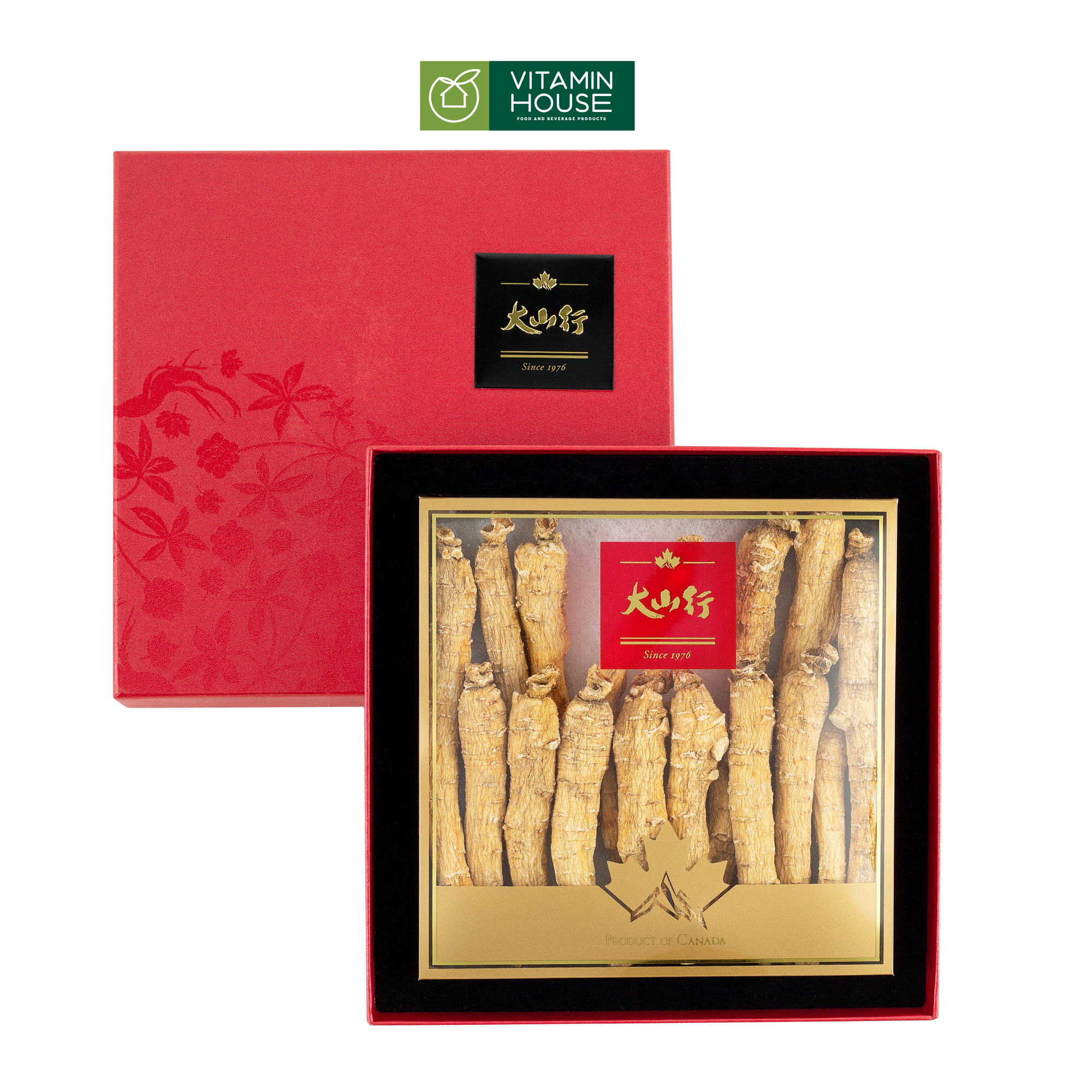 Nhân sâm củ dài 89 Great Moutain hộp 227g