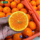 Trái Cây Cắt Sẵn Nho, Quýt, Kiwi và Cherry phần 2-3 người