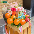 Hộp Quà Trái Cây Cam, Nho Sữa, Quýt Nhập Khẩu Tặng Bác Sĩ