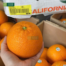 Trái Cây Cắt Sẵn Dưa, Nho và Cam phần 2-3 người