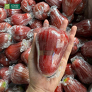 Trái Cây Cắt Sẵn Dưa, Mận, Quýt và Nho phần 2-3 người