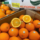 Trái Cây Cắt Sẵn Dưa, Nho và Cam phần 2-3 người