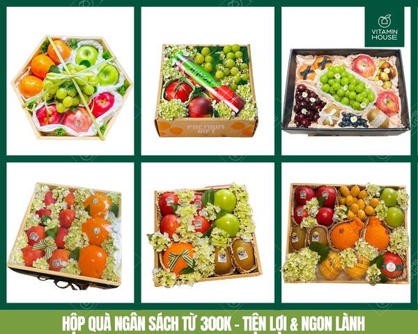 Hộp quà trái cây nhập khẩu kèm hoa sang trọng