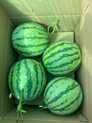 Trái Cây Cắt Sẵn Dưa, Nho và Cam phần 2-3 người