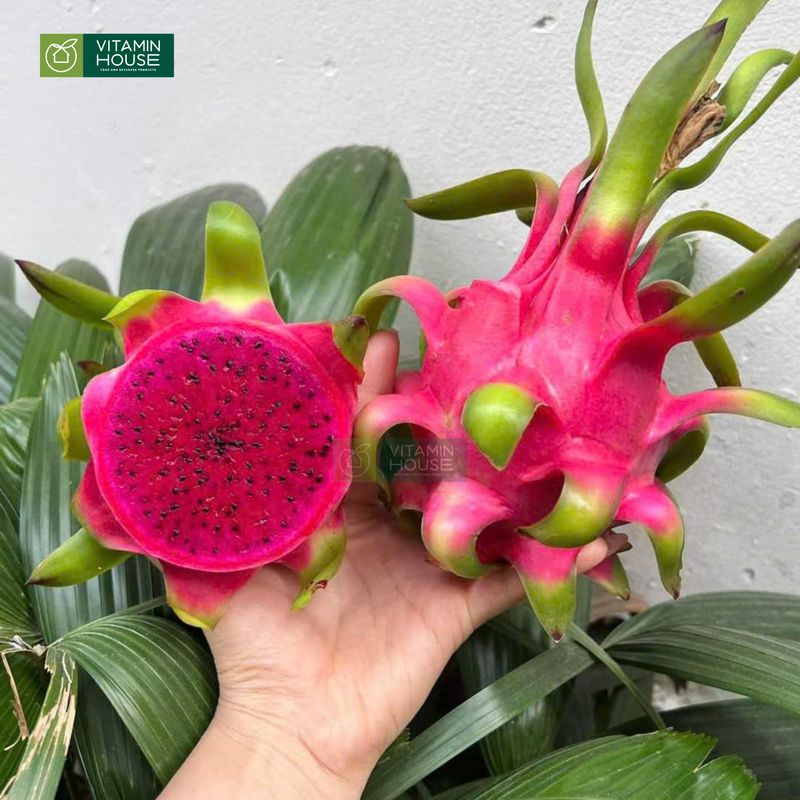 Trái Cây Cắt Sẵn Dưa, Ổi, Thơm và Thanh Long phần 5-7 người