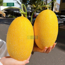 Trái Cây Cắt Sẵn Dưa, Mận, Quýt và Nho phần 2-3 người