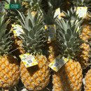 Trái Cây Cắt Sẵn Dưa, Ổi, Thơm và Thanh Long phần 5-7 người