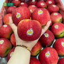 Nước Ép Táo Vitamin House Chai 250ml