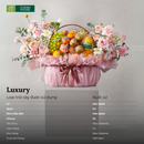 Giỏ Quà Trái Cây Nhập Khẩu & Hoa Tươi Tặng Mừng Sinh Nhật, Tặng Bác Sĩ ,Tân Gia