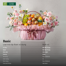 Giỏ Quà Trái Cây Nhập Khẩu & Hoa Tươi Tặng Mừng Sinh Nhật, Tặng Bác Sĩ ,Tân Gia