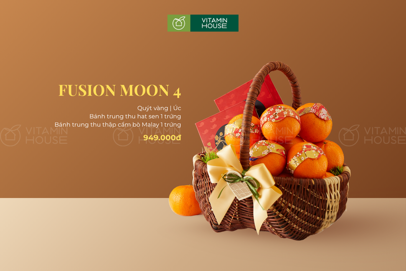 Hộp Quà Bánh Trung Thu Trái Cây Cổ Điển Fusion Moon 4