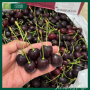 [Trái cây nhập khẩu] Cherry Đỏ Mỹ Nhiều Size (Kg)
