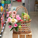 Giỏ Quà Trái Cây Kiwi Dưa Lưới Nhập Khẩu Tặng Bác Sĩ