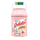 Xô Kẹo Sữa Và Sô Cô La/Dâu Galatine 150G