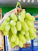 [Trái cây nhập khẩu] Nho Xanh Peru