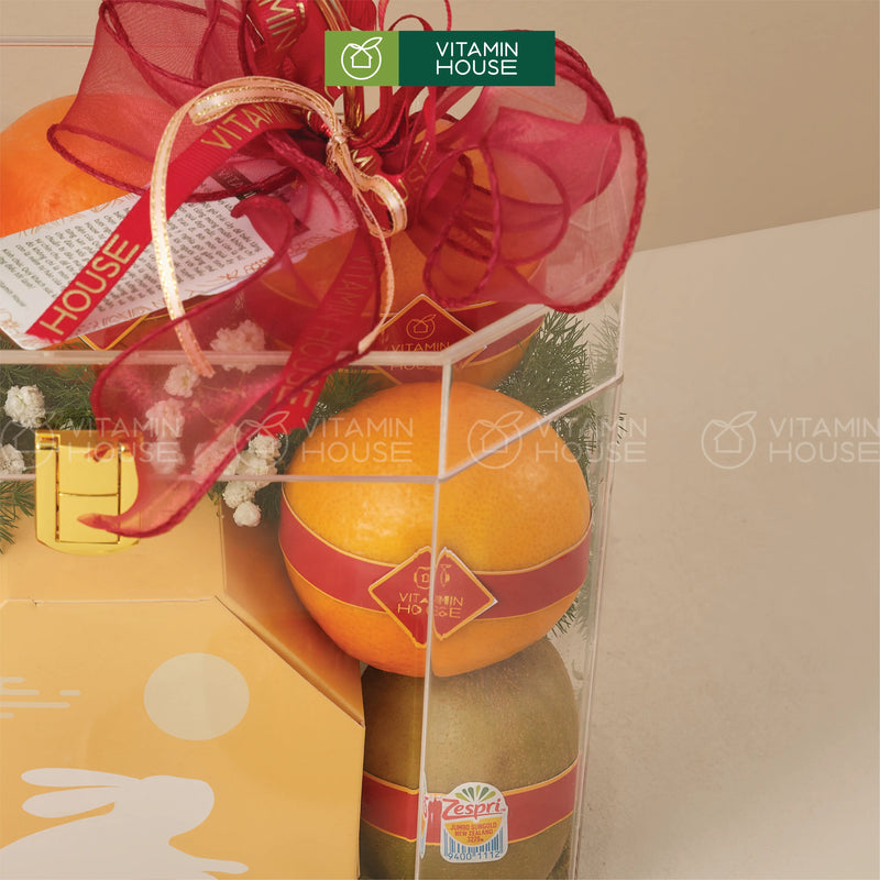 Hộp Quà Bánh Trung Thu Trái Cây Sang Trọng Fusion Moon 1