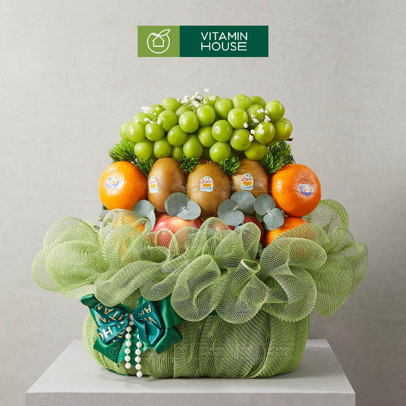 Giỏ Quà Trái Cây Táo, Quýt, Kiwi Nhập Khẩu & Hoa Tươi Đi  Thăm Người Bệnh