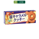 Bánh Quy Vị Caramel Muối Bourbon Nhật Hộp 9 Cái