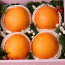 Mẫu Quà 03 - Bloom & Berry Collection