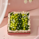 Mẫu Quà 10 - Bloom & Berry Collection