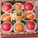 Mẫu Quà 12 - Bloom & Berry Collection