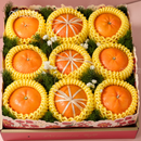 Mẫu Quà 13 - Bloom & Berry Collection